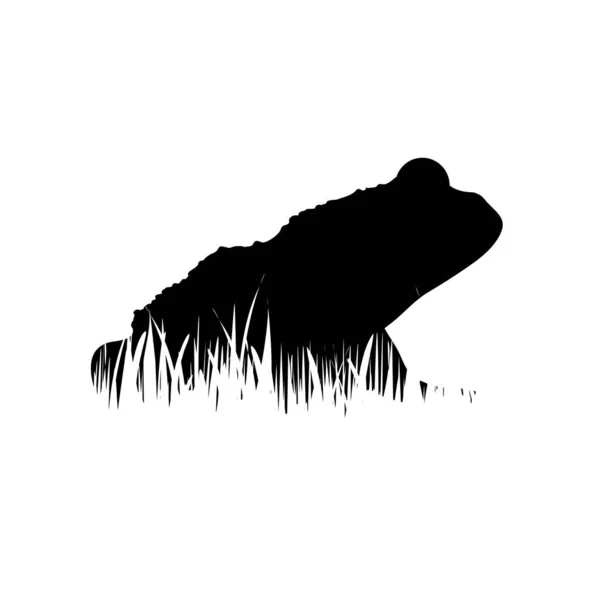 Illustration Icône Grenouille Dans Herbe Silhouette Vectorielle Sur Fond Blanc — Image vectorielle