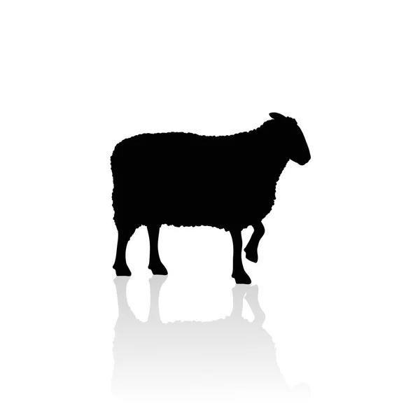 Sílhueta Vetorial Ovelhas Fundo Branco Símbolo Animal Natureza — Vetor de Stock