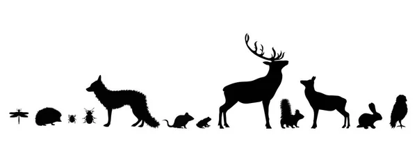 Illustratie Van Set Forest Animals Icon Vectorsilhouet Witte Achtergrond — Stockvector