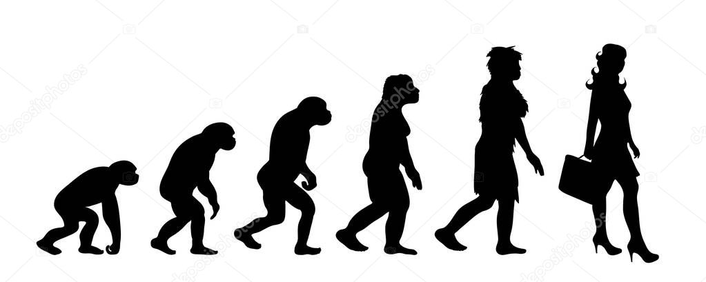 Painted theory of evolution of woman. Vector silhouette of homo sapiens. Symbol from monkey to businesswoman.