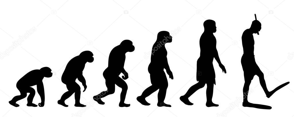 Painted theory of evolution of woman. Vector silhouette of homo sapiens. Symbol from monkey to diver.