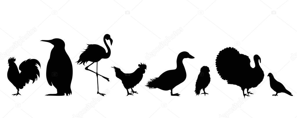 Illustration of set birds icon. Vector silhouette on white background.