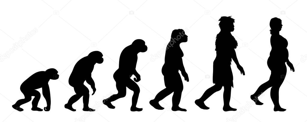 Painted theory of evolution of man. Vector silhouette of homo sapiens. Symbol from monkey to fat woman.