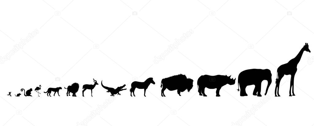Illustration of set african animals icon. Vector silhouette on white background.