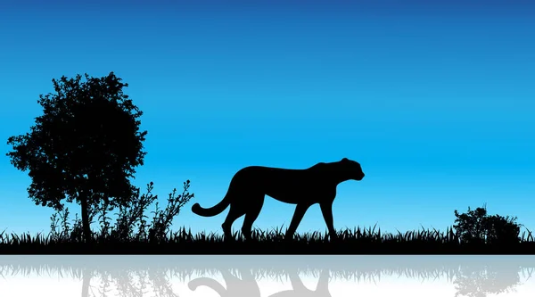 Εικονογράφηση Διάνυσμα Του Τσιτάχ Στη Φύση Λευκό Φόντο Άγρια Ζώα — Διανυσματικό Αρχείο