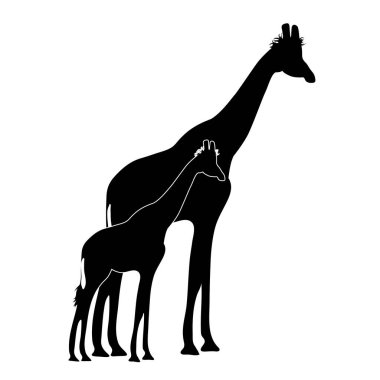 Zürafa silueti ve bebek zürafa annesi. Hayvanların ve vahşilerin sembolü.