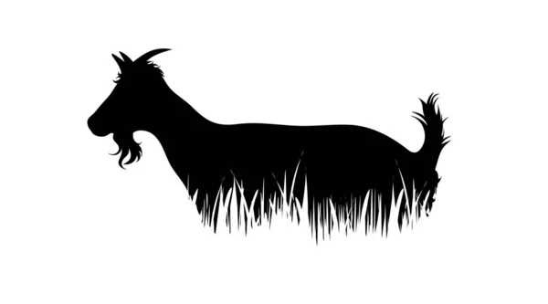 Illustration Goat Icon Grass Vector Silhouette White Background Symbol Cattle — Stock Vector