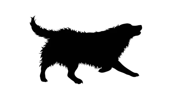 Illustratie Van Het Rennende Hond Icoon Vectorsilhouet Witte Achtergrond — Stockvector