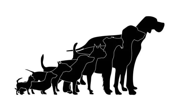 Vector Silhoutte Eines Hundesatzes Auf Weißem Hintergrund Symbol Für Tier — Stockvektor