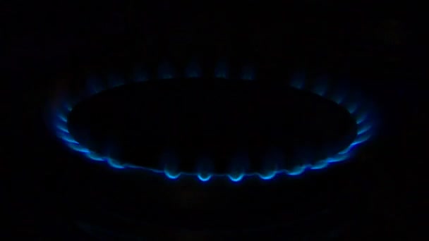 Gas Stove Apearing Blue Orange Flame Black Background — Stock Video