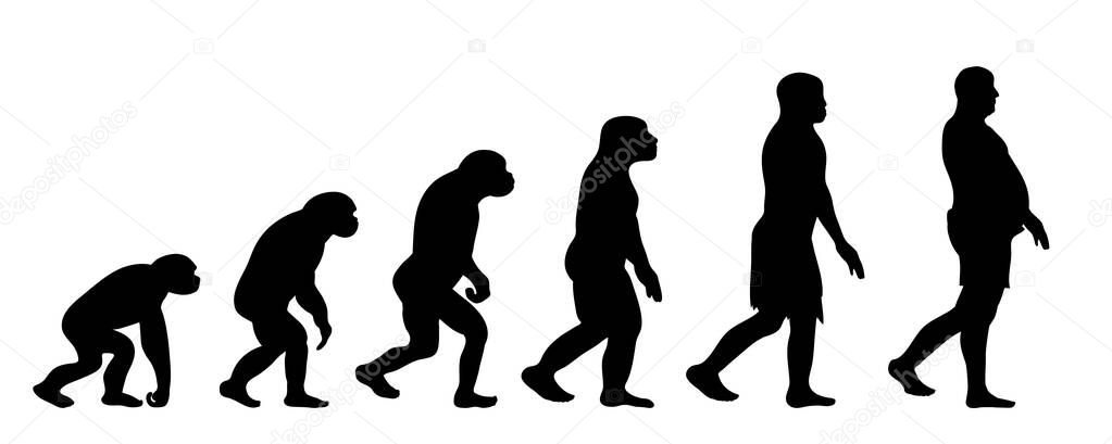 Theory of evolution of man. Vector silhouette of homo sapiens. Symbol from monkey to fat man.