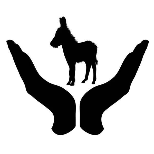 在保护驴的防御性动作中 一个手的矢量轮廓 兽医的符号 — 图库矢量图片
