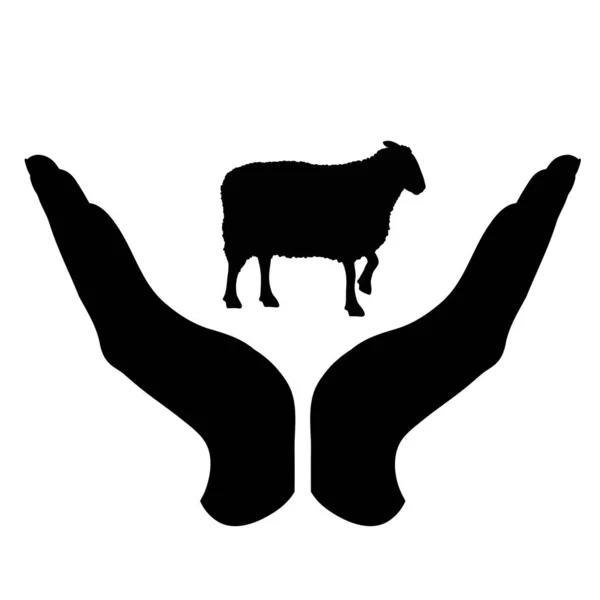 Wektorowa Sylwetka Dłoni Geście Obronnym Chroniącym Owcę Symbol Zwierzęcia Gospodarstwa — Wektor stockowy