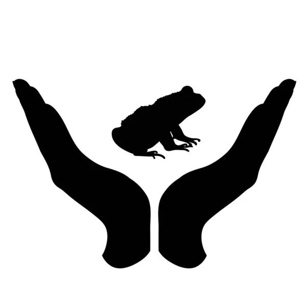 Vektorsilhouette Einer Hand Einer Defensiven Geste Die Einen Frosch Schützt — Stockvektor