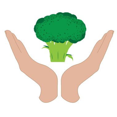 Brokoliyi koruyan savunma jestindeki el silueti. Sebze, gıda, tarım, koruma, taze, vegan, vejetaryen, frizbiyen.