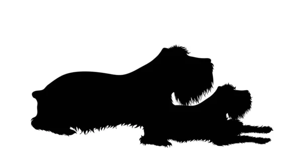 Векторный Силуэт Пары Собак Символ Семейства Животных Белом Фоне Мать — стоковый вектор