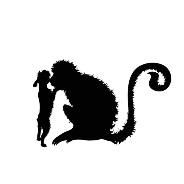 Silhouette Vectorielle Couple Chien Singe Symbole Amis Animaux Sur Fond — Image vectorielle