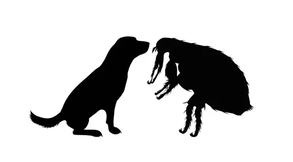 Vector Silhouette Flea Dog White Background Symbol Parasites — Stock Vector