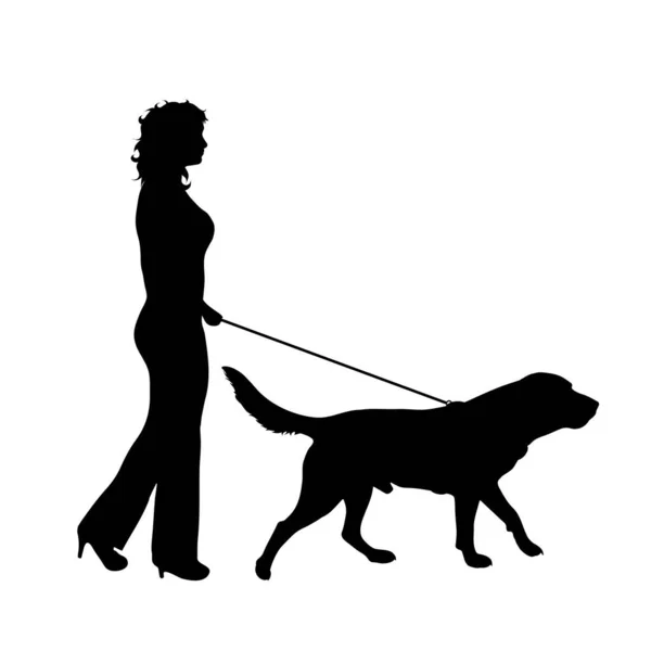 Vectorsilhouet Van Vrouw Die Met Haar Hond Met Riem Witte — Stockvector