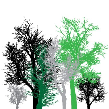 Ağaç silueti.