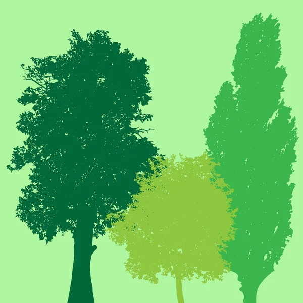 Silueta del árbol. — Vector de stock