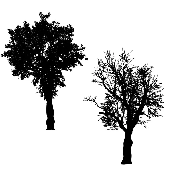 Silhouette d'arbre. — Image vectorielle