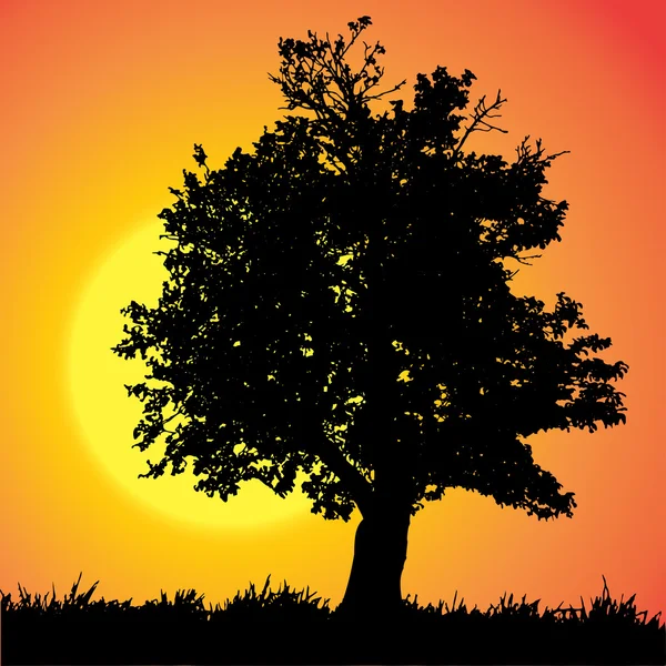 Silhouette de la nature . — Image vectorielle