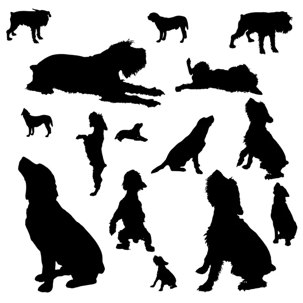 Vector silhouetten van verschillende honden. — Stockvector