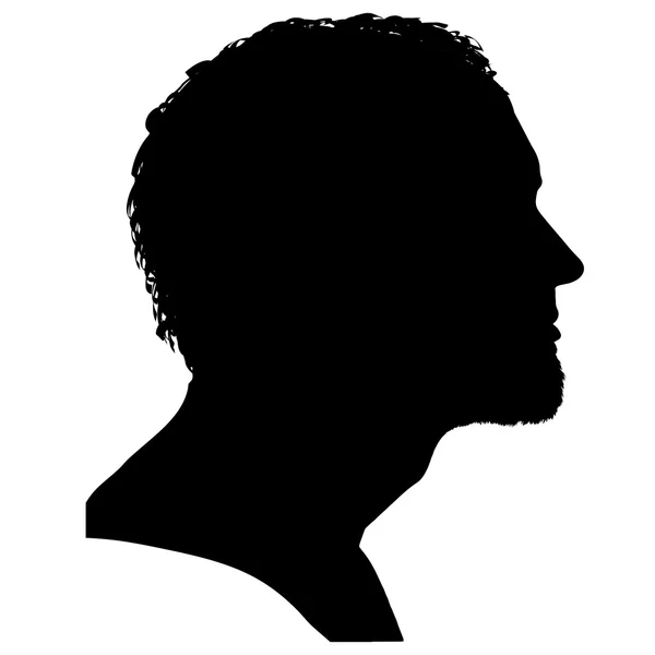 Vector silhouettes people. — Stock Vector