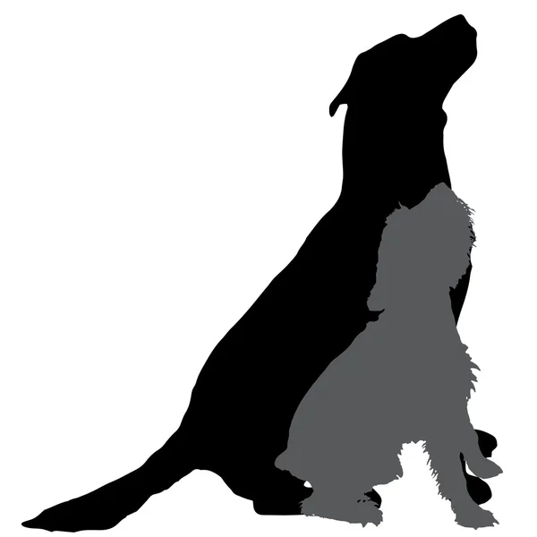 Silhouet van een honden — Stockvector