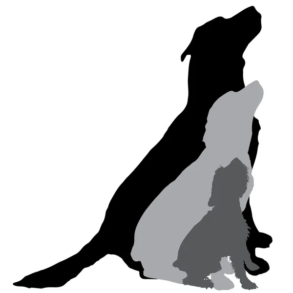 Silhouet van een honden — Stockvector