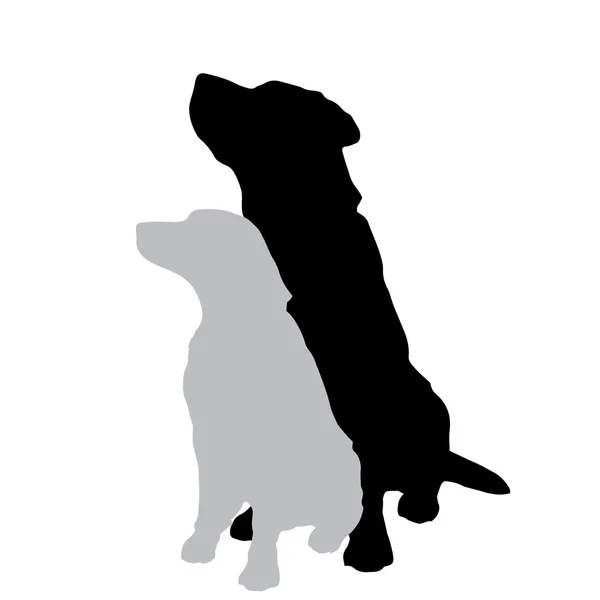 Silhouette of a dogs — Stock Vector