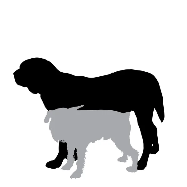 Silhouet van een honden — Stockvector