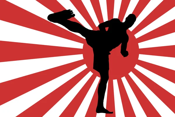 Immagine della bandiera giapponese . — Vettoriale Stock