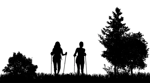 Women with nordic walking — Stock Vector