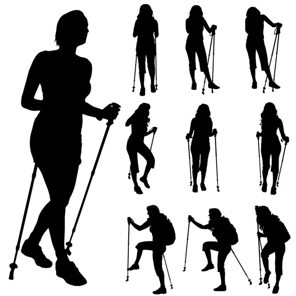 Vrouwen met nordic walking. — Stockvector