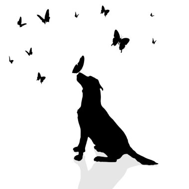 Kelebekler tarafından çevrili köpek.