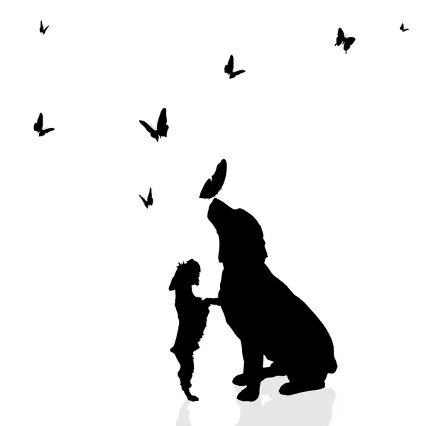 Kelebekler tarafından çevrili köpekler.