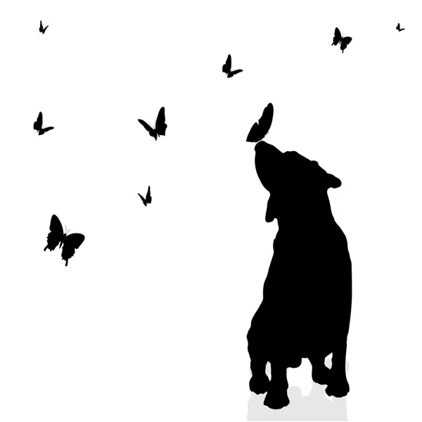 Hund omgiven av fjärilar. — Stock vektor