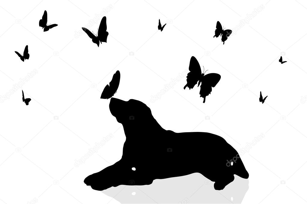 Dog surrounded by butterflies.