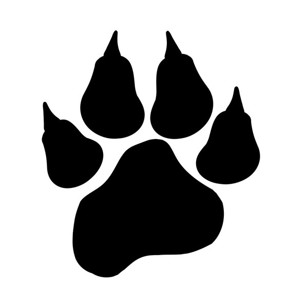 Image of paw.