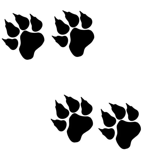 Image of paws. — Stock Vector