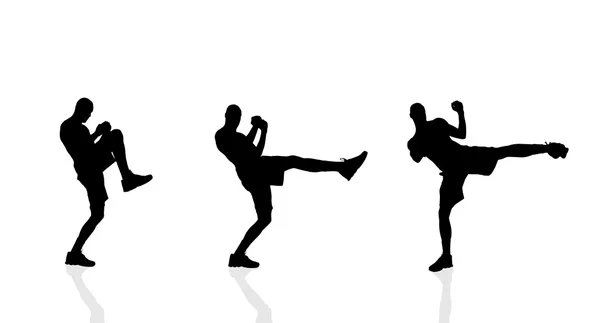 Silhouette of a men boxing — Stock Vector
