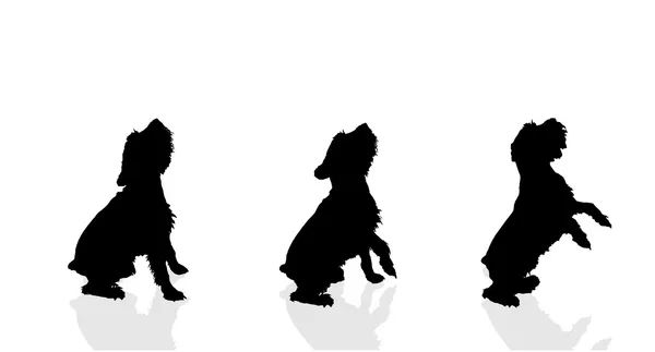 Silhouette of a dogs. — Stock Vector