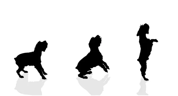 Silhouette de chien . — Image vectorielle