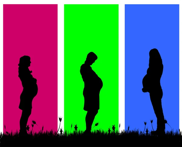 Vrouwen die zwanger is. — Stockvector
