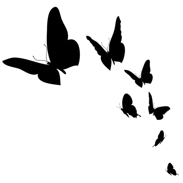 Ilustración de mariposas — Vector de stock