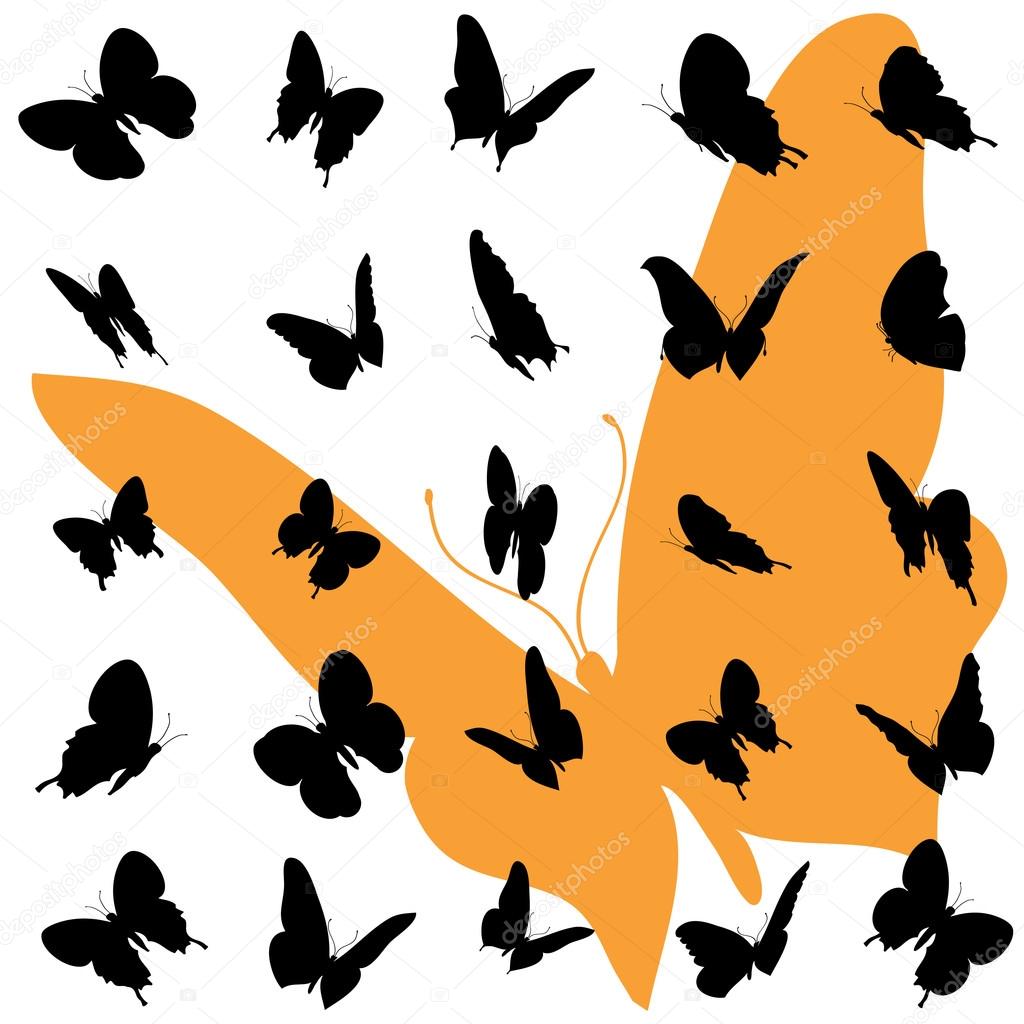 Illustration of butterflies