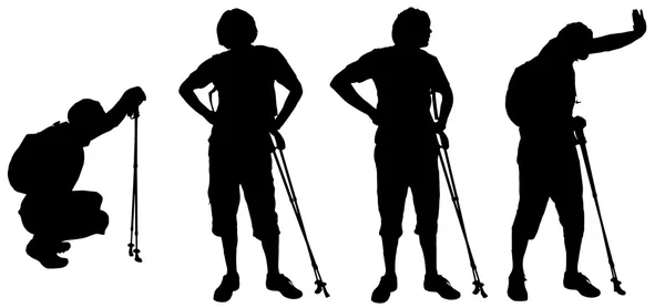 Men who walk  with Nordic walking. — Stock Vector