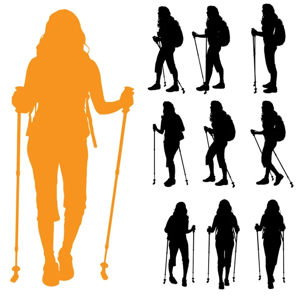 Nők a nordic walking. — Stock Vector